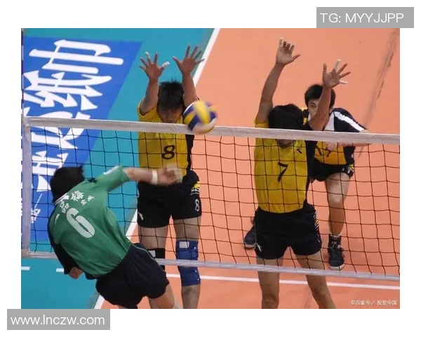 深圳排球队逆袭之旅揭示团队精神与奋斗的力量